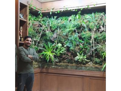 دیوار سبز حرفه ای – گرین وال