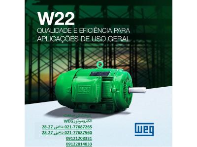 WEG-الکتروموتور ضد انفجار