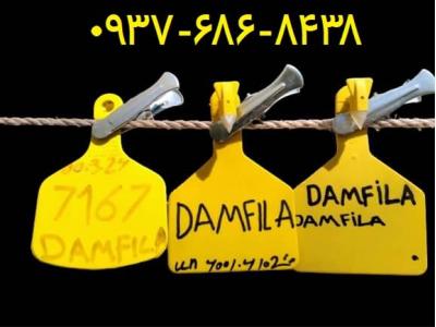 تولید کننده پلاک گوش دام