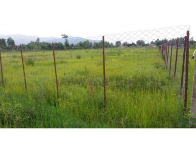 فروش زمین  در ماسال روستای میانبر