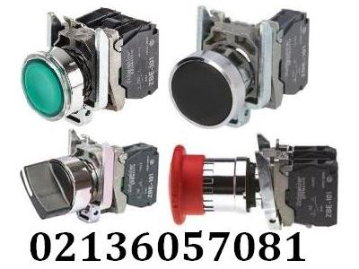 شستي استاپ استارت اشنايدر