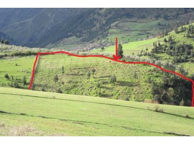 *باغ 10000 متری کنار رود روستا *شمال گیلان *فوری *زیر قیمت *