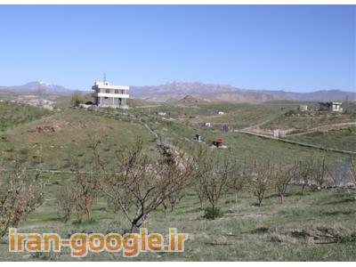 فروش فوری باغ میوه