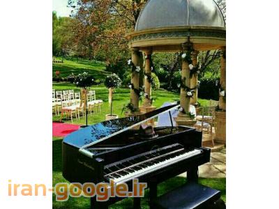 هر آنچه در مورد موسیقی باید بدانید.