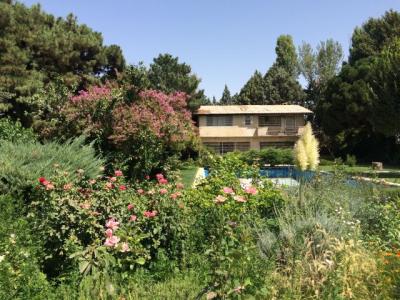 فروش باغ ویلا 12000 متری در تیسفون (کد153)