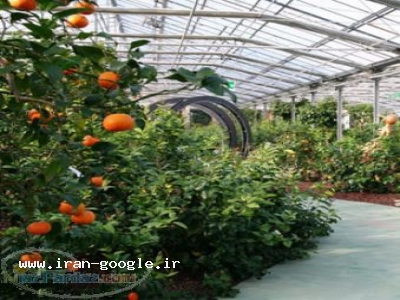 صادرات محصولات و فرآورده های کشاورزی 