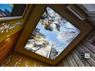 پخش و فروش سقف کشسان