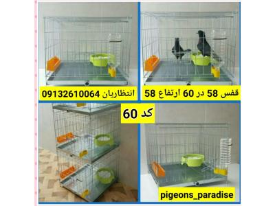 فروش قفس و تجهیزات