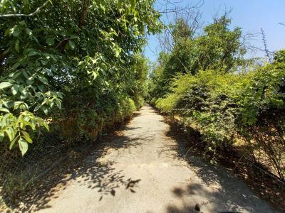 11500 متر باغ ویلا در محمد شهر کرج