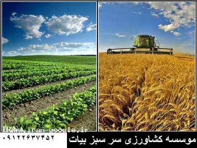 کشاورزی-موسسه کشاورزی سر سبز بیات