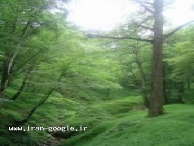 فروش ویلا به صورت نقد و اقساط