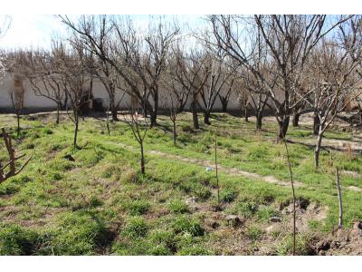 1270 متر باغ ویلای مشجر در شهریار