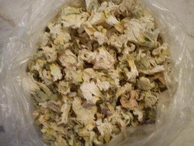 برداشت و فروش عمده گل ختمی