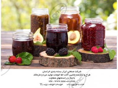 ماشین آلات خط تولید و بسته بندی مربا و مارمالاد 