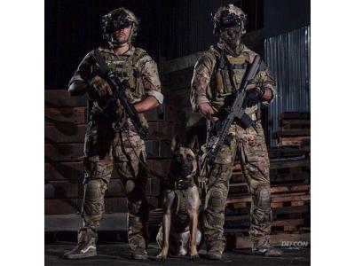  انواع آموزش سگ های گارد و نگهبان 