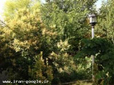 فروش ویژه ویلای دوبلکس بسیار زیبا ولوکس