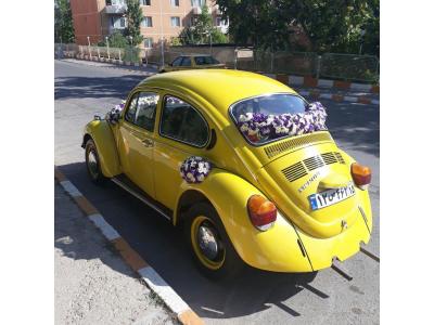 کرایه خودرو تبریز فولکس قورباغه ای مراسم جشن و عروسی-کرایه خودروی کلاسیک در تبریز
