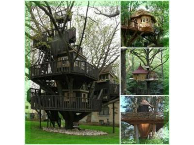 طراحی و ساخت خانه های درختی با هر میزان بودجه