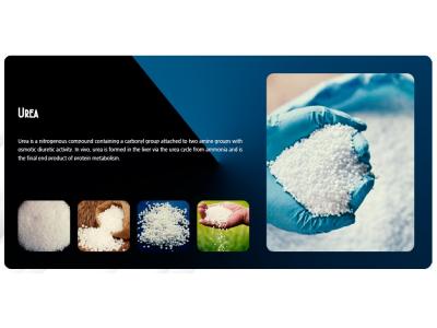 فروش صادراتی اوره تولید روسیه – اوره تولید ایران – فروش محصولات پالایشگاهی روسیه بصورت سیف بندرمقصد ( گریدهای مختلف گازوییل و بنزین – سوخت جت – LPG – LNG – IP – HFO )- دفتر مرکزی دبی