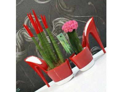 خرید و فروش گلدان پلاستیکی