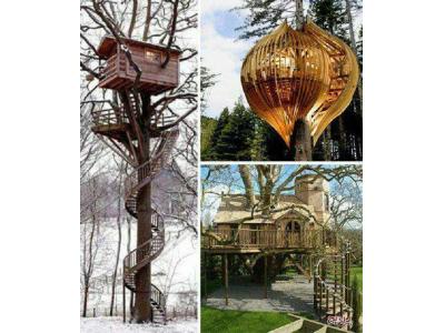 طراحی روف گاردن-طراحی و ساخت خانه های درختی با هر میزان بودجه