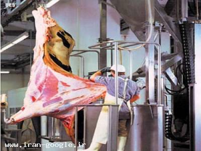 کشتارگاه صنعتی دام