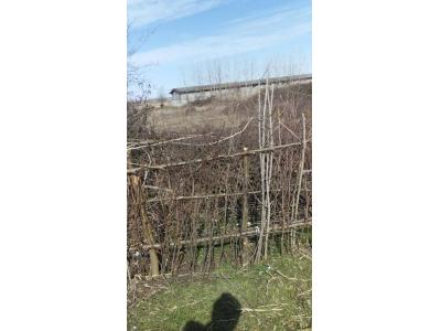 4200متر زمین بابر 54متری