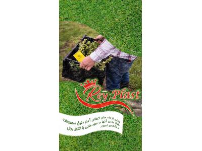  فروش سبد پلاستیکی جهت بسته بندی