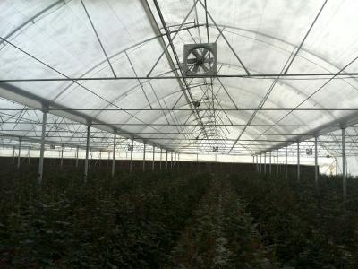 نمایندگی شرکت هلندی و چینی قطعات گلخانه