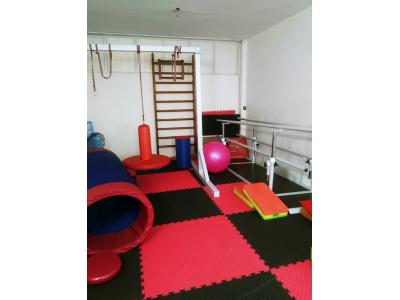 کلینیک جامع توانبخشی رسش  ، کادرمانی جسمی و ذهنی ، گفتاردرمانی و گروه درمانی