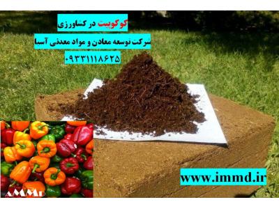 فروش کوکوپیت و پیت ماس