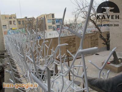 حفاظ شاخ گوزنی - حفاظ بوته ای