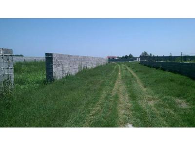 فروش 300 مترزمین در زیباکنار فقط  45 میلیون تومان 