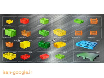 شرکت تولیدکننده سبد و جعبه های پلاستیکی