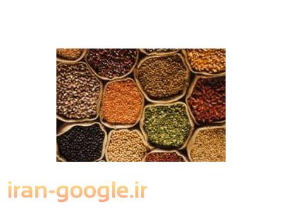 تهیه و توزیع حبوبات و غلات