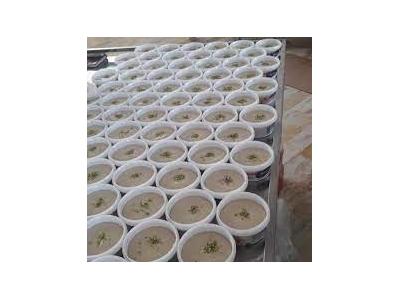 محصولات کنجدی تاج پاز