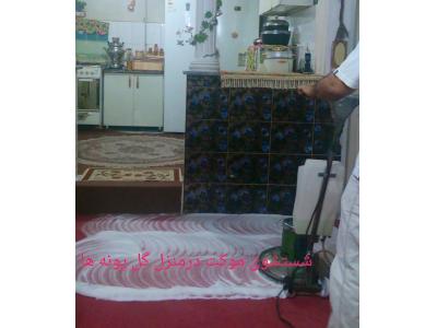 شستشوی موکت کرج 