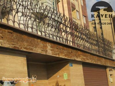 حفاظ شاخ گوزنی - حفاظ بوته ای