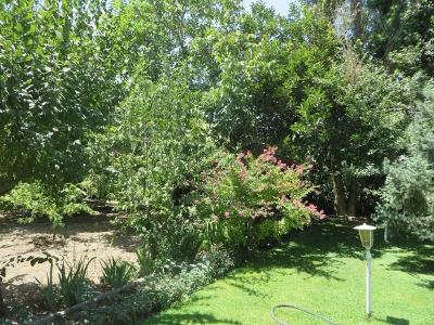  فروش باغ ویلا 1300 متری در خوشنام(کد250)