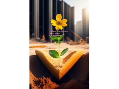 مشاوره و برنامه ریزی تحصیلی برای کنکور