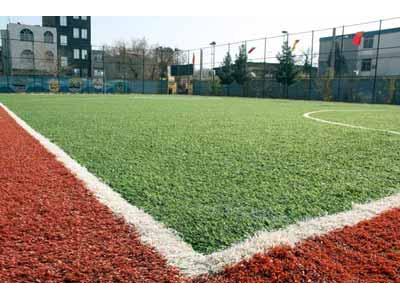 چمن مصنوعی، چمن مصنوعی تزیینی، چمن مصنوعی تزئینی