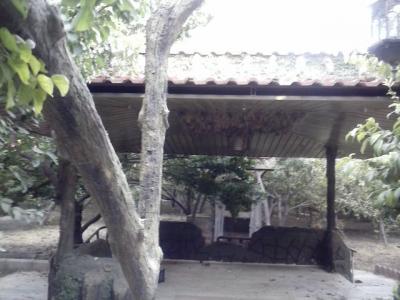  فروش باغ ویلا 5000 متری در کردزار(کد176)