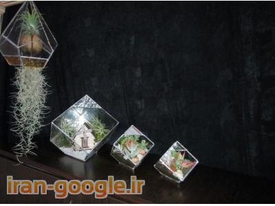 تراریوم استند گلس