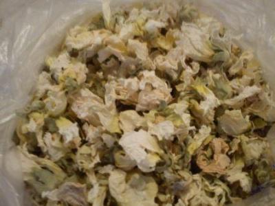 برداشت و فروش عمده گل ختمی