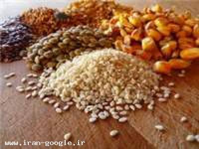 فروش خوراک دام و طیور