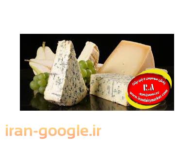 قیمت انواع پنیر پیتزا موزارلا فروزان