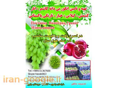 تهیه و تامین میوه و تره بار