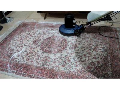 قالیشویی و مبل شویی ای پارا ، شستشو در محل