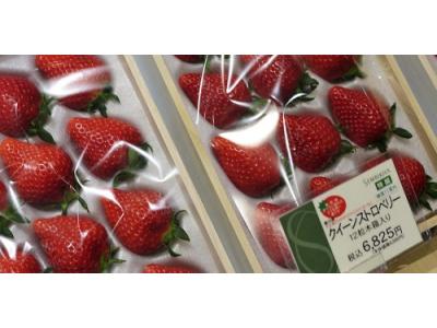 طراحی و ساخت قالب وکیوم ، طراحی و ساخت ظروف بسته بندی