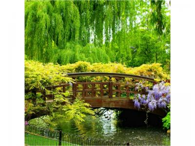 تابلو نوری بک لایت یا پشت چراغ دار